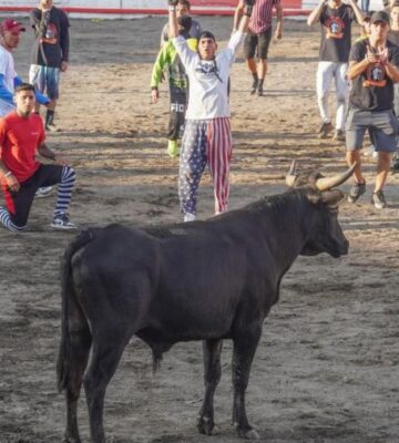 Fiestas de Zapote